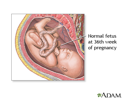 Monitor The Baby S Movements