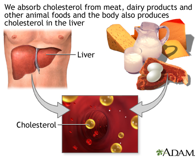 university penn liver diet